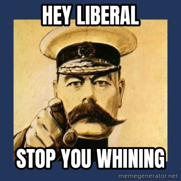 your country needs you meme: hey liberal / stop you whining