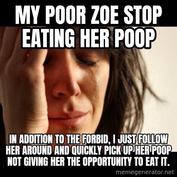 crying girl sad meme: my poor Zoe stop eating her poop / In addition to the Forbid, I just follow her around and quickly pick up her poop not giving her the opportunity to eat it.