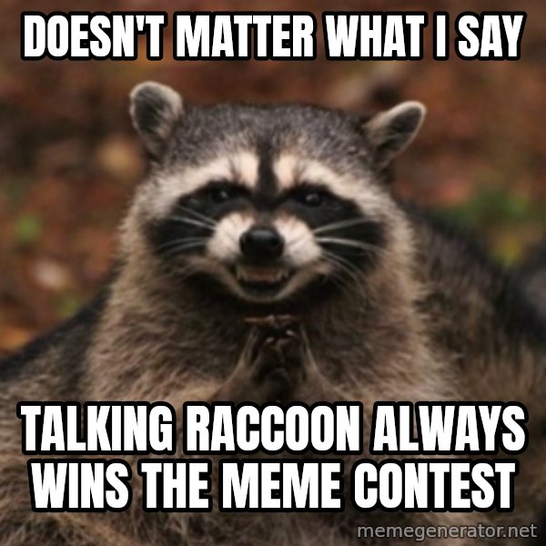 evil raccoon meme: Doesn't matter what I say / Talking raccoon always wins the meme contest