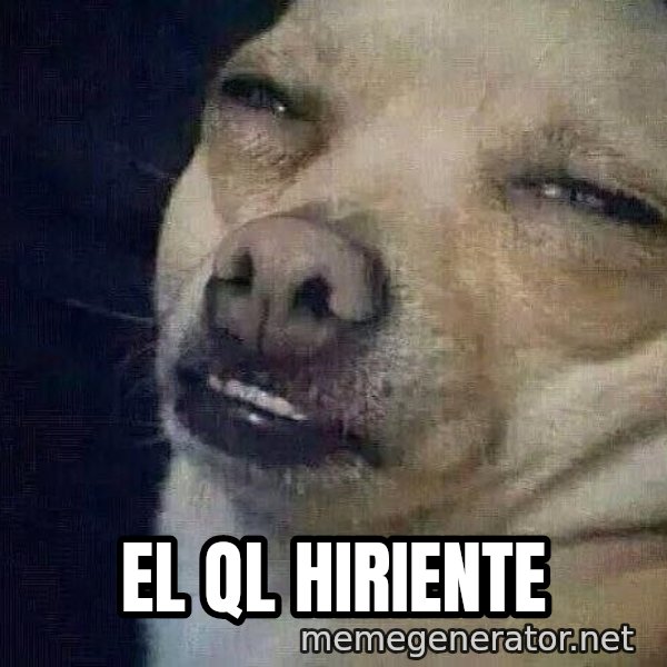 Perro el ql mentiroso meme: El ql hiriente