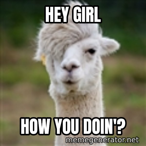 Hipster Llama meme: Hey girl / HOW YOU DOIN'?