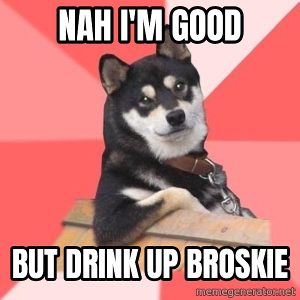 Cool Dog meme: Nah I'm good / But drink up broskie