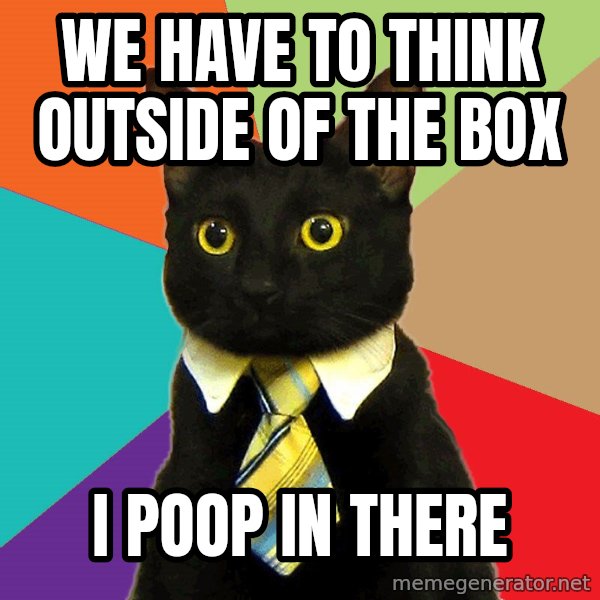 Business Cat meme: we have to think outside of the box / i poop in there