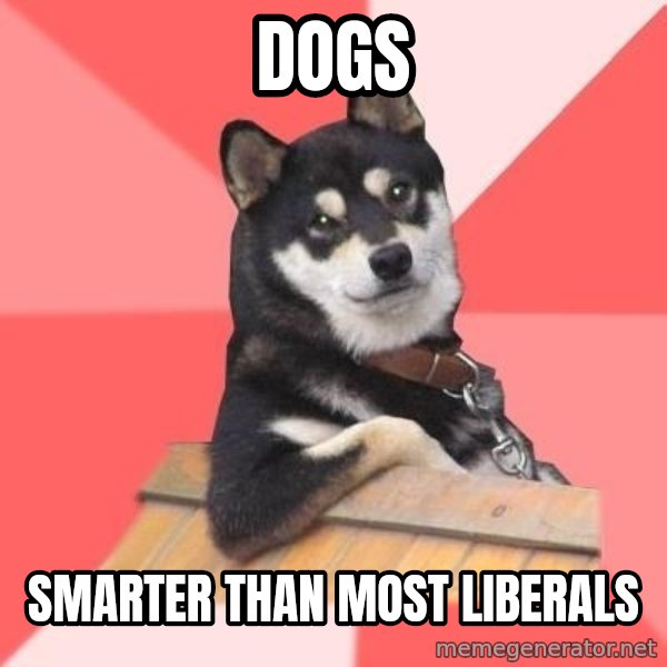 Cool Dog meme: dogs / smarter than most liberals