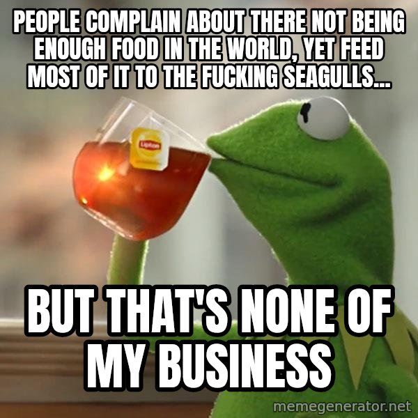 Kermit The Frog Drinking Tea meme: people complain about there not being enough food in the world, yet feed most of it to the fucking seagulls... / but that's none of my business