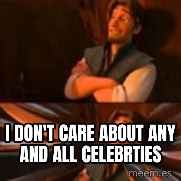 flynn rider swords meme: I don't care about any and all celebrties