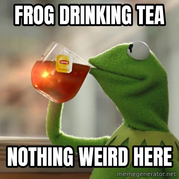 Kermit The Frog Drinking Tea meme: Frog drinking tea / Nothing weird here