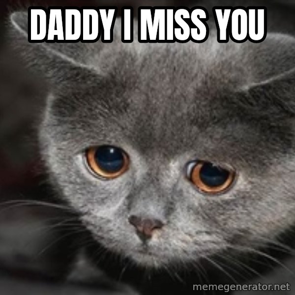 Sadcat meme: Daddy I miss you