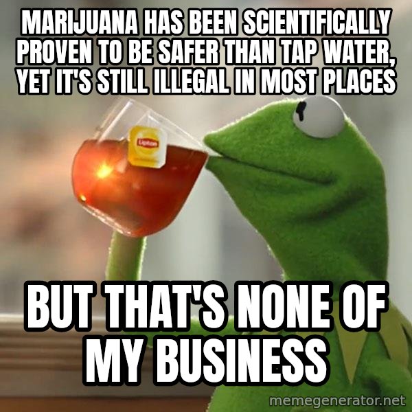Kermit The Frog Drinking Tea meme: Marijuana has been scientifically proven to be safer than tap water, yet it's still illegal in most places / but that's none of my business
