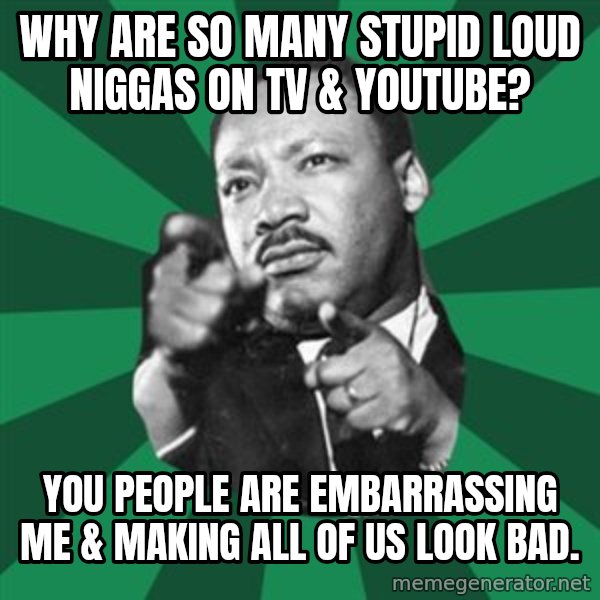 Martin Luther King jr.  meme: why are so many stupid loud niggas on tv & youtube? / you people are embarrassing  me & making all of us look bad.