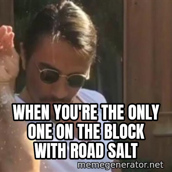 salt bae meme: When you're the only one on the block with road salt