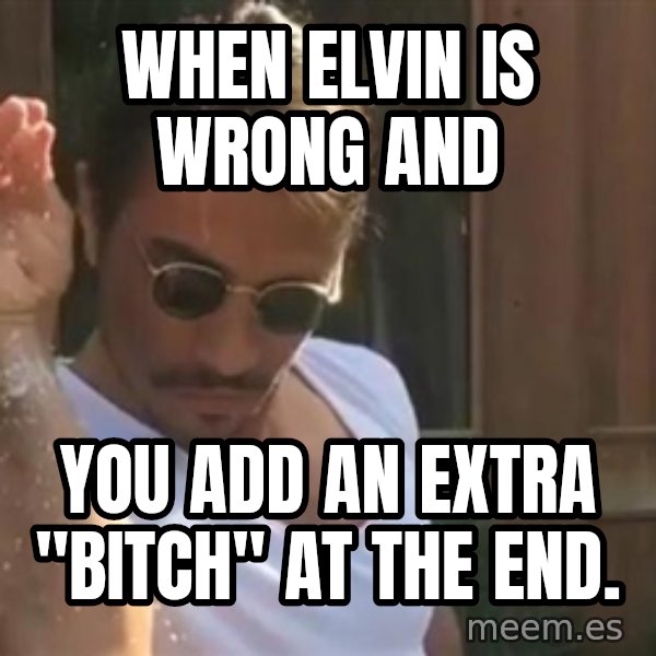 salt bae meme: When Elvin Is wrong and / you add an extra "bitch" at the end.