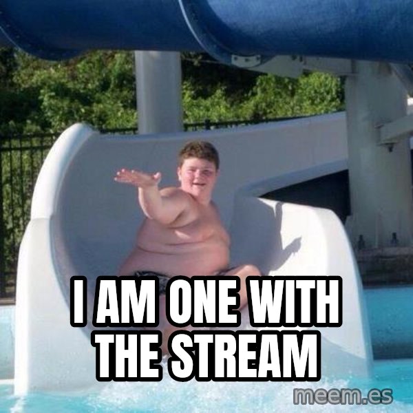 Slide In To My Dms meme: I am one with the stream