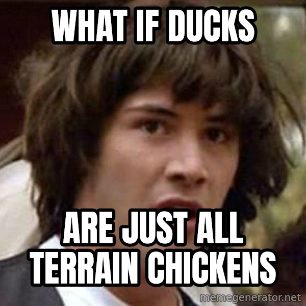 Conspiracy Keanu meme: what if ducks / are just all terrain chickens