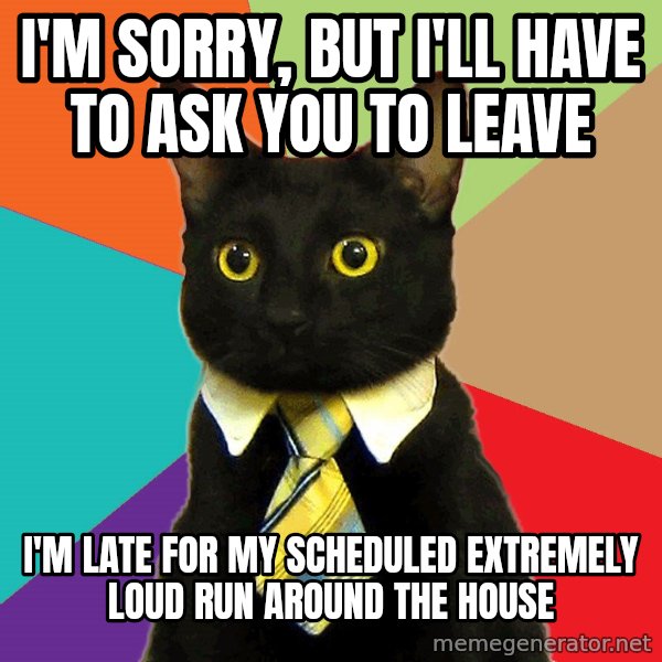 Business Cat meme: I'm sorry, but i'll have to ask you to leave / I'm late for my scheduled extremely loud run around the house