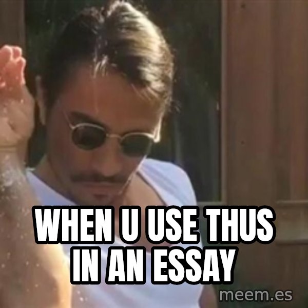 salt bae meme: When u use thus in an essay