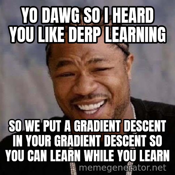 Yo Dawg meme: yo dawg so I heard you like derp learning / so we put a gradient descent in your gradient descent so you can learn while you learn