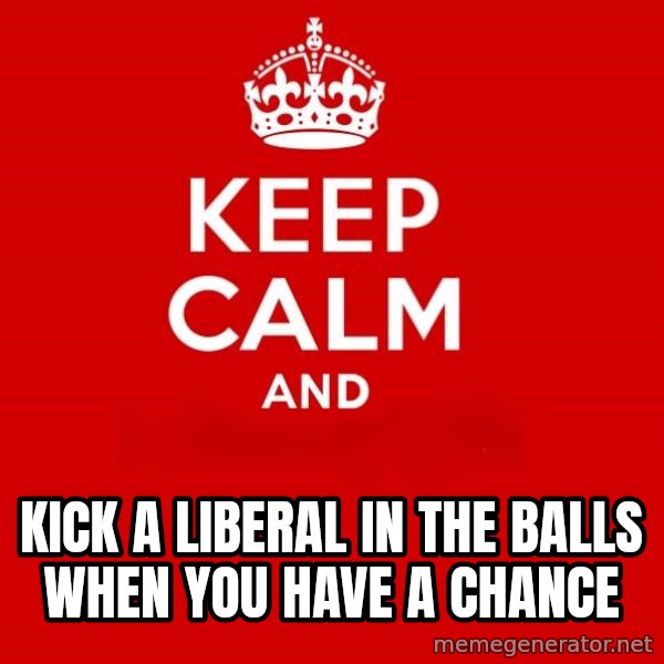 Keep calm and meme: kick a liberal in the balls when you have a chance