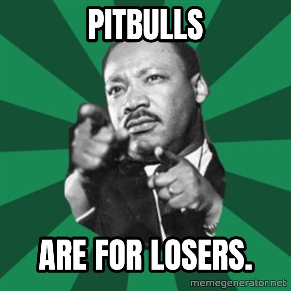 Martin Luther King jr.  meme: pitbulls / are  for  losers.