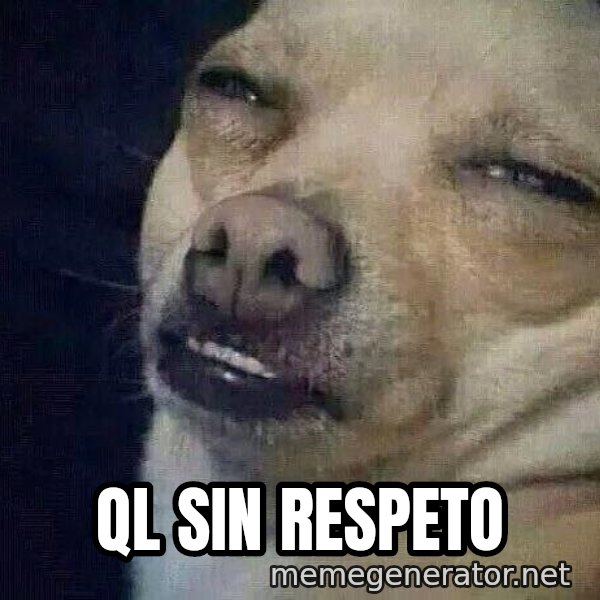 Perro el ql mentiroso meme: ql sin respeto