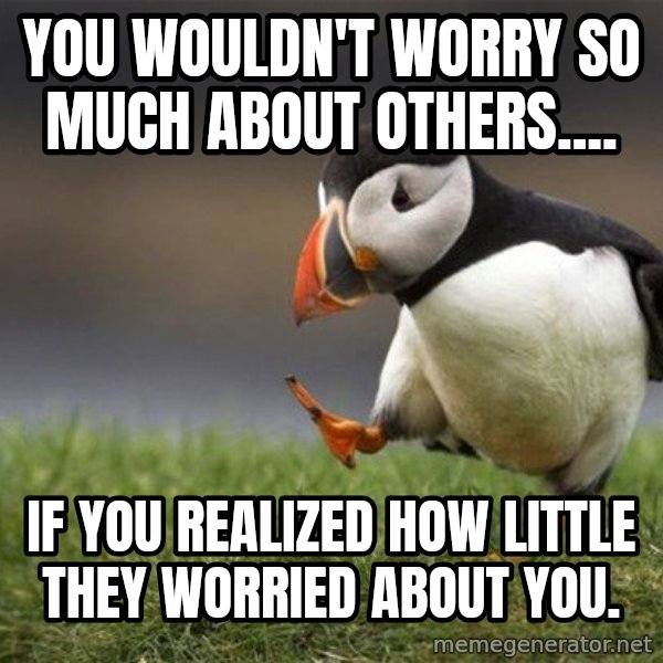 Unpopular Opinion Puffin meme: You wouldn't worry so much about others.... / if you realized how little they worried about you.