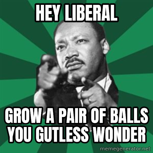 Martin Luther King jr.  meme: hey liberal / grow a pair of balls you gutless wonder