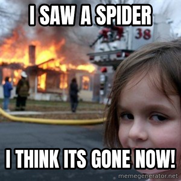 Disaster Girl meme: I saw a spider / I think its gone now!