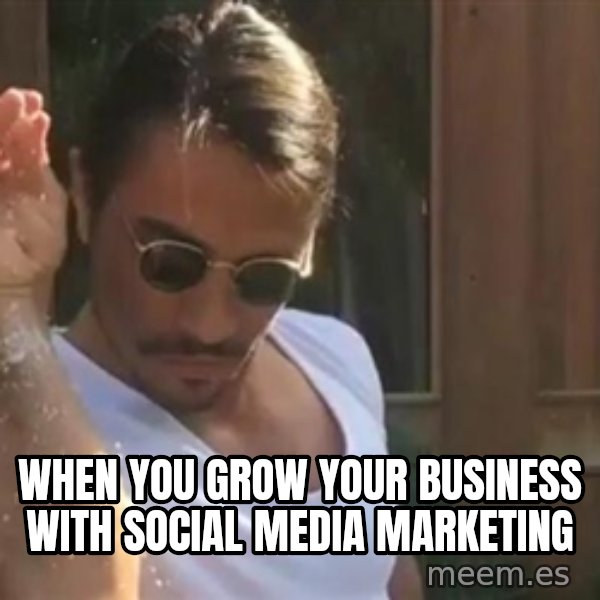 salt bae meme: When you grow your business with social media marketing