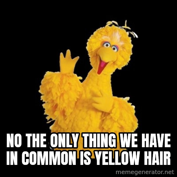 BIG BIRD meme meme: No the only thing we have in common is yellow hair