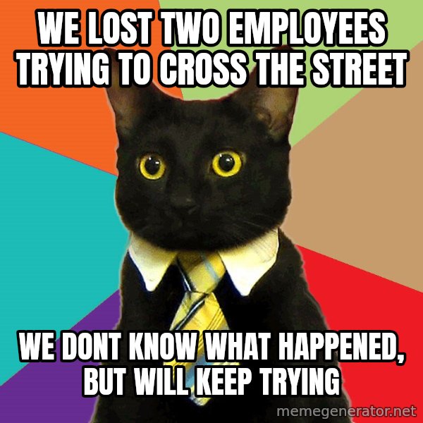 Business Cat meme: we lost two employees trying to cross the street / we dont know what happened, but will keep trying