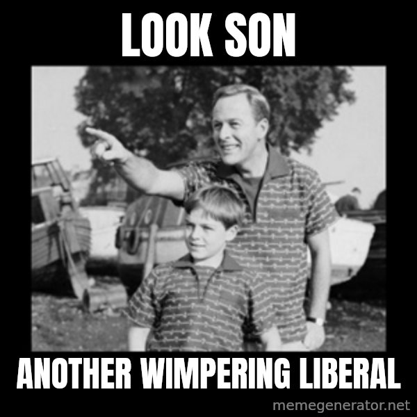look son a faggot meme: look son / another wimpering liberal