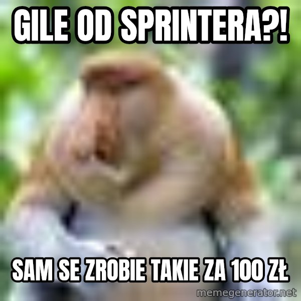 Nosacz Sundajski 22 meme: GILe OD SPRINTERA?! / SAM SE ZROBIE TAKIE ZA 100 ZŁ