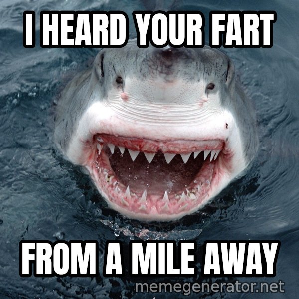 Insanity Shark meme: i heard your fart / from a mile away