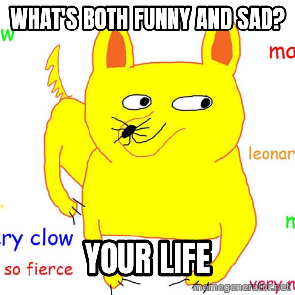 Grumpy Cat  meme: what's both funny and sad? / your life