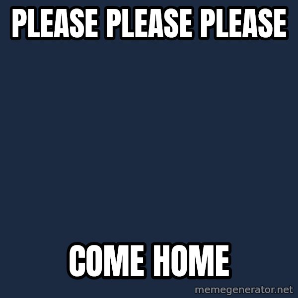 Sadcat meme: Please please please / Come home