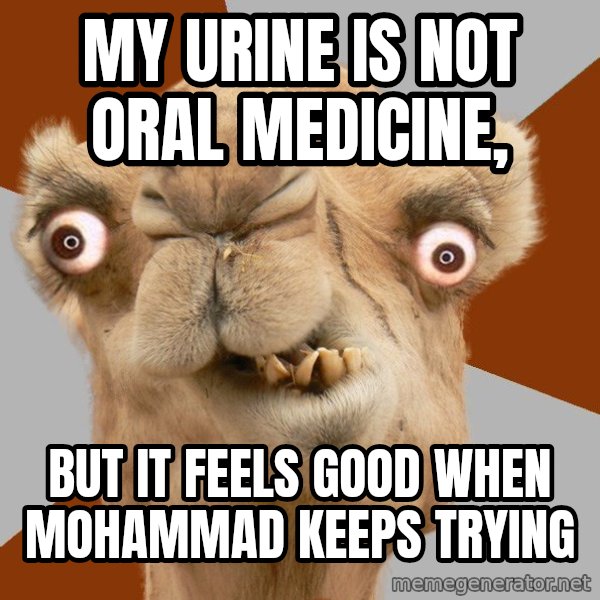 Crazy Camel lol meme: my urine is not oral medicine, / but it feels good when mohammad keeps trying