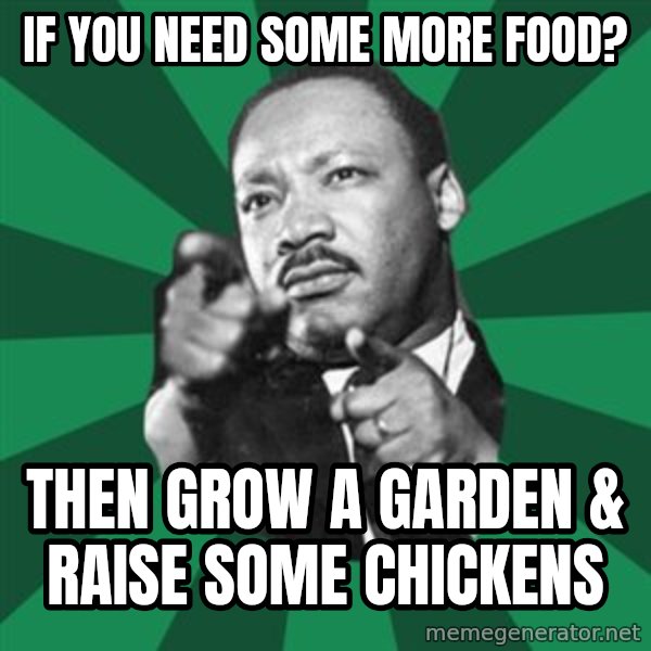 Martin Luther King jr.  meme: if you need some more food? / then grow a garden & raise some chickens