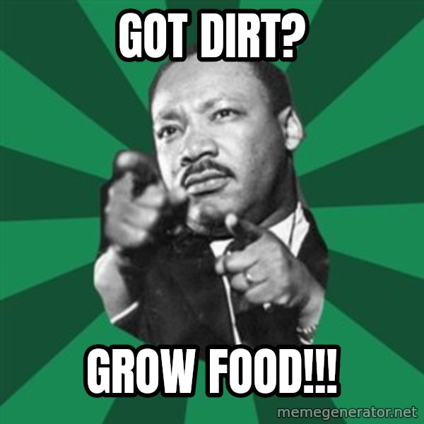 Martin Luther King jr.  meme: got  dirt? / grow  food!!!