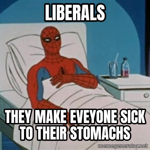 spiderman hospital meme: liberals / they make eveyone sick to their stomachs