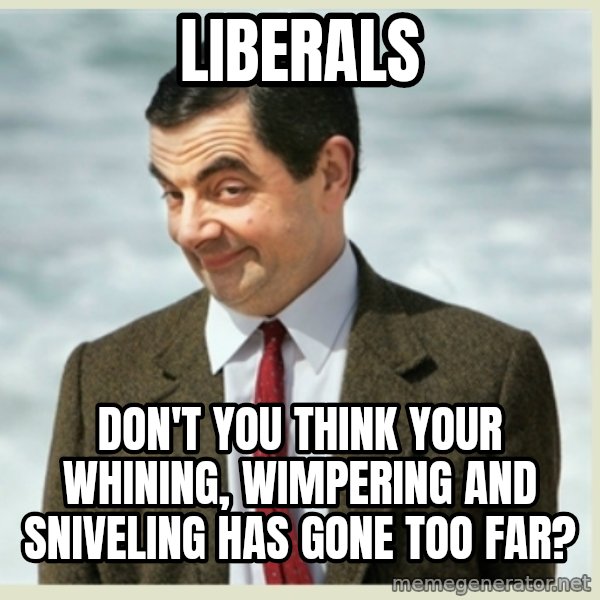 MR bean meme: liberals / don't you think your whining, wimpering and sniveling has gone too far?