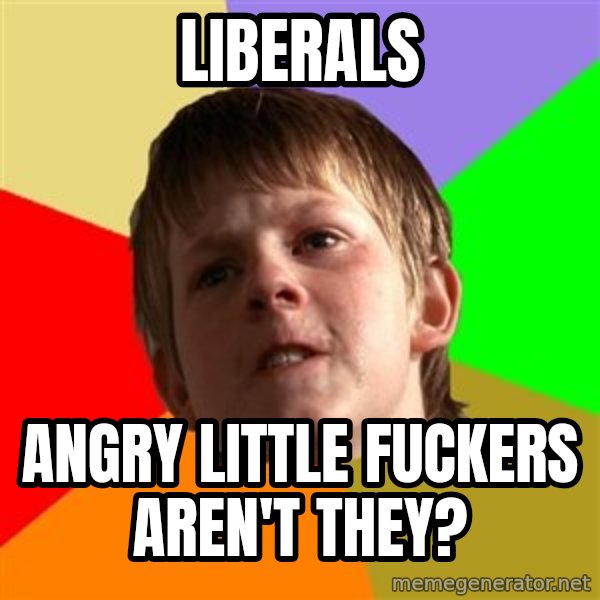 Angry School Boy meme: liberals / angry little fuckers aren't they?