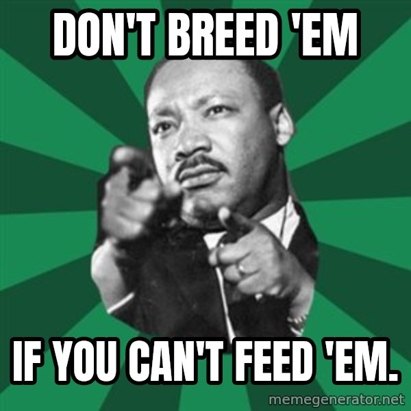 Martin Luther King jr.  meme: don't  breed  'em / if you can't feed 'em.