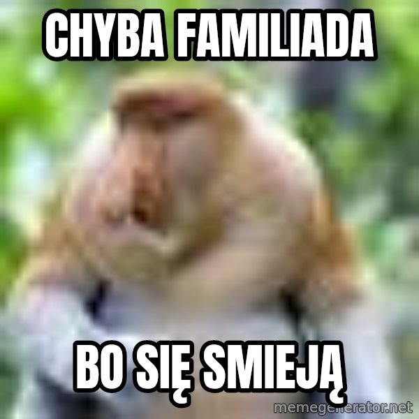 Nosacz Sundajski 22 meme: Chyba familiada / bo się smieją