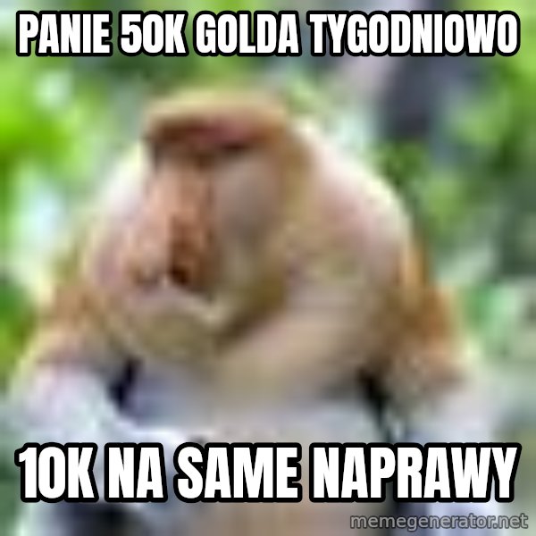 Nosacz Sundajski 22 meme: panie 50k golda tygodniowo / 10k na same naprawy