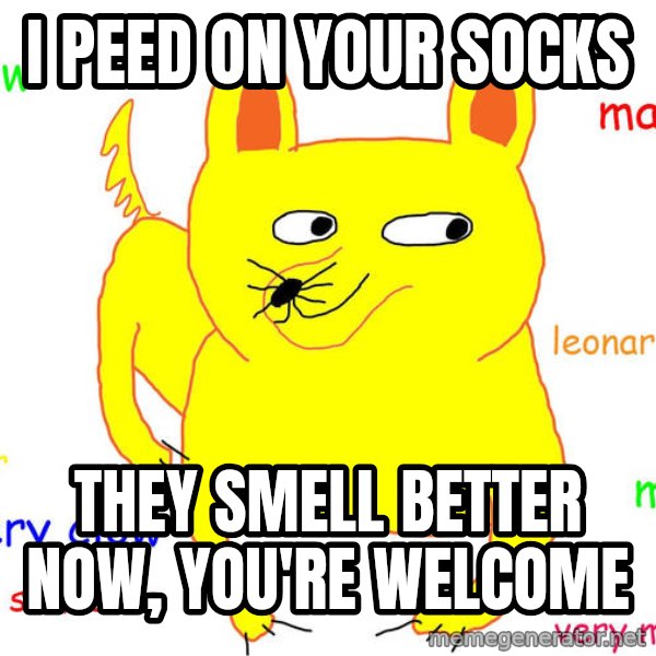 Grumpy Cat  meme: i peed on your socks / they smell better now, you're welcome