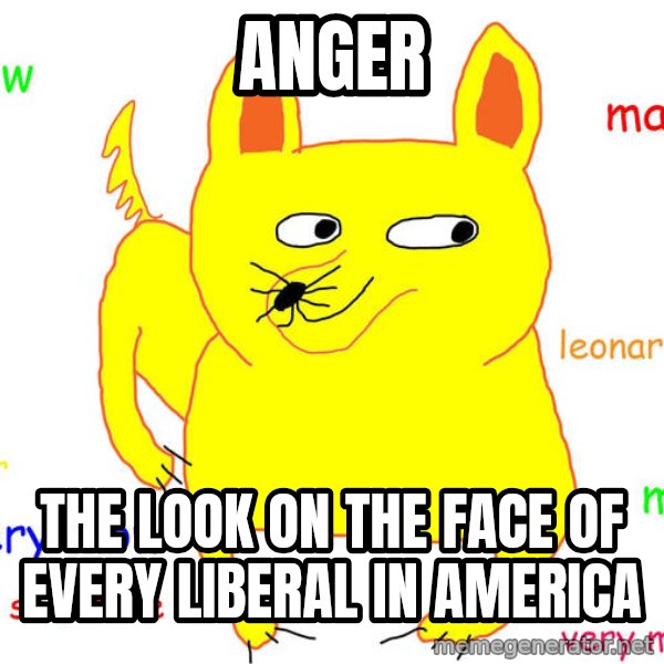 Grumpy Cat  meme: anger / the look on the face of every liberal in america
