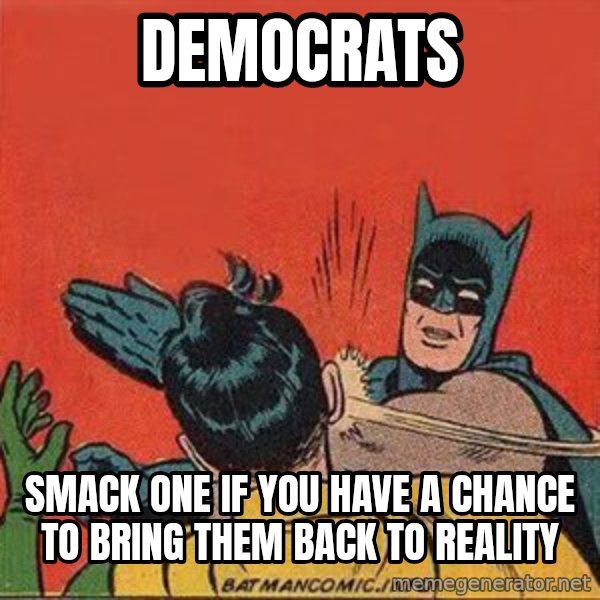batman slap robin meme: democraTS / SMACK ONE IF YOU HAVE A CHANCE TO BRING THEM BACK TO REALITY