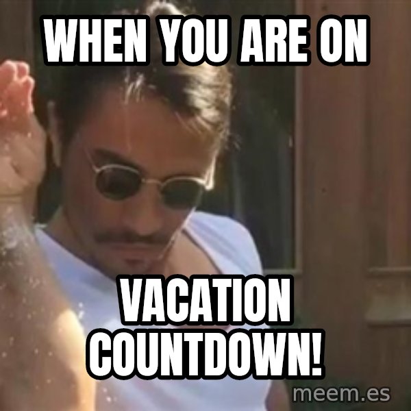 salt bae meme: When you are on / Vacation Countdown!