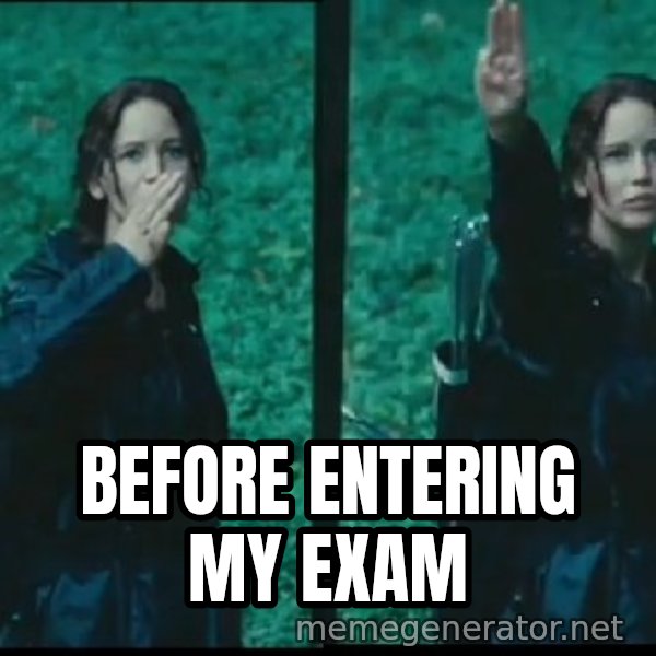 Hunger Games Katniss Salute meme: Before entering My eXam
