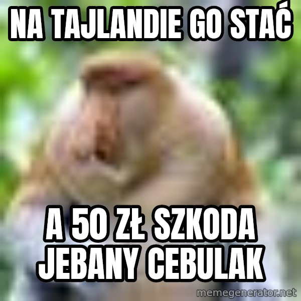 Nosacz Sundajski 22 meme: na tajlandie go stać / a 50 zł szkoda jebany cebulak